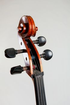 Old double bass head with strings isolated on white background