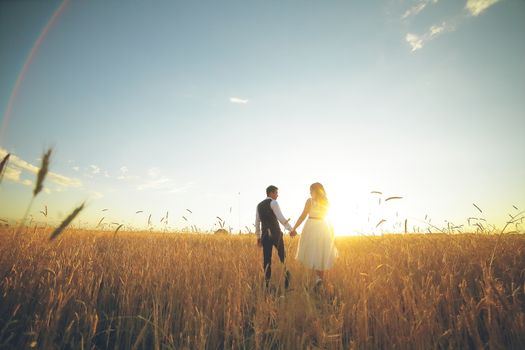 The bride and groom hold hands, hug each other and walk in the park. Sunset light. wedding. Happy love concept. High quality photo