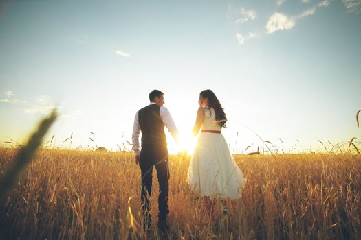 The bride and groom hold hands, hug each other and walk in the park. Sunset light. wedding. Happy love concept. High quality photo