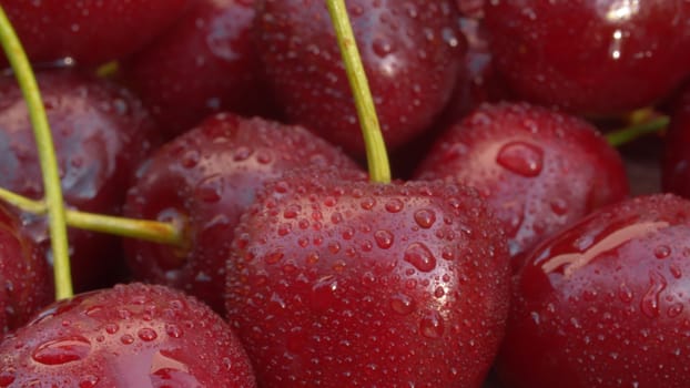 Close up ripe cherry in drops of water on a wooden board. Macro shooting. Summer fresh healthy food