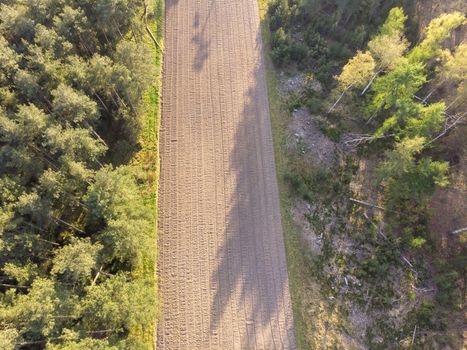 Strip of plowed field in a forest to sow seeds of flowers in order to create biodiversity. Aerial view, drone shot. Sunny day.