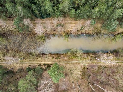 Aerial drone shot, straight down, of a forest with river or canal running through in early spring. Location: antitankgracht Kapellen. Creative edit.