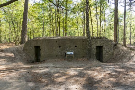 mastenbos, kapellen, troepenbunker, troop bunker, bunker, german, WWI, flanders fields, world war one, great war, forest, nature, landscape, outdoors, no people