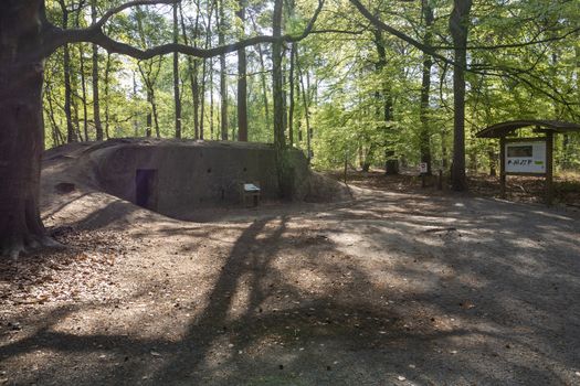 aKapellen, Belgium, April 2020: German Troepenbunker, or Troop Bunker, in mastenbos Kapellen, part of Flanders Fields WWI remembrance.