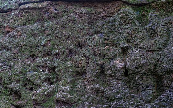 old rock wall looklike elephant