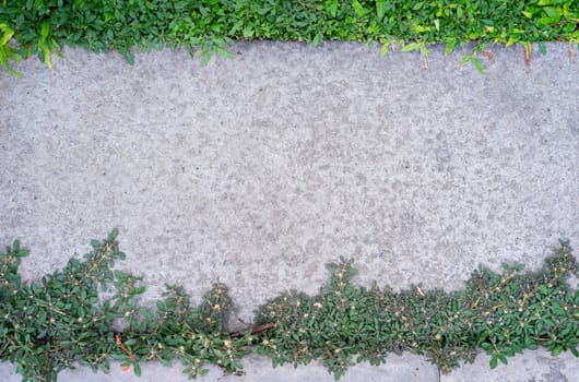 Top view of cement footpath with green grass background in the garden