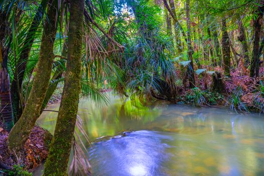 Pakoka River flowing through New Zealand natural bush to Bridal Fall in countyside outside Raglan on west coast North Island.