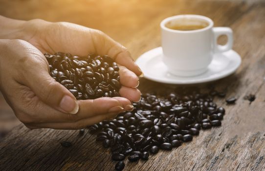 Roasted coffee beans on hand on wooden floors