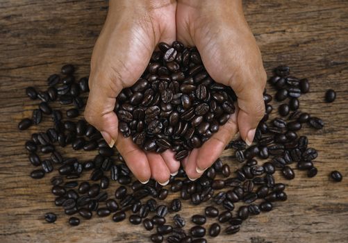 Roasted coffee beans on hand on wooden floors