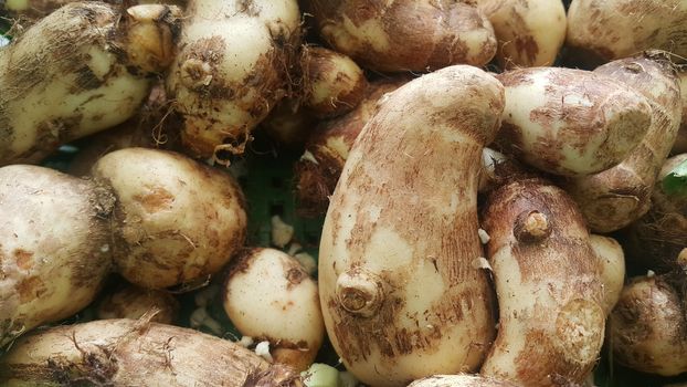 Closeup view of taro vegetable pile for sale in market. Fresh taro also called Colocasia esculenta in scientific name.