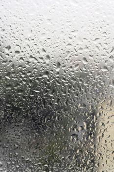 On a summer raining day. Drops of water on the window. Shallow DOF