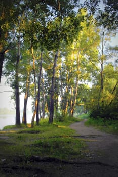 Beautiful summer landscape with river and forest