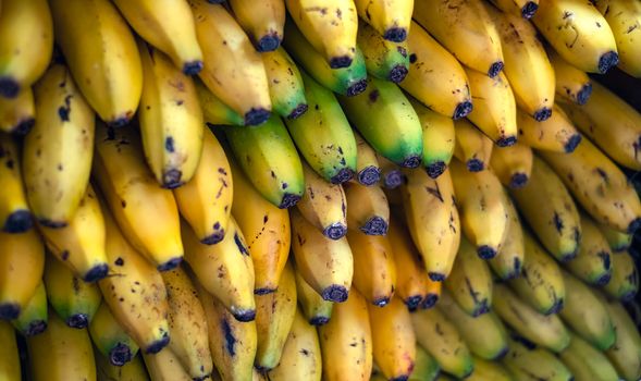 a bunch of ripe bananas at the market stall at the market of Ataranzanas Central Market, Malaga, Spain