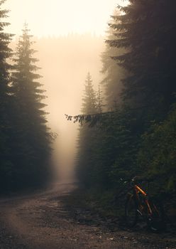 a new adventure on the road through the forested mountains in a misty morning, Cindrel mountains, Romania