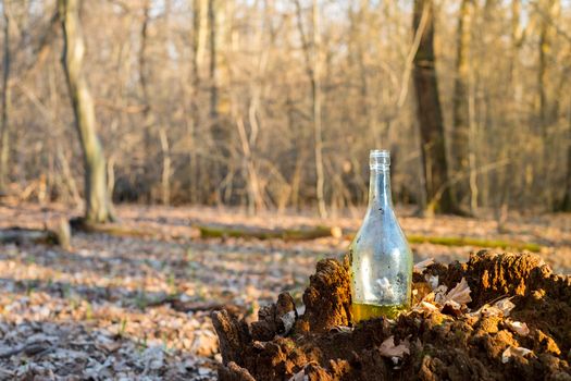 a glass with a yellow liquid on a stump in the forest