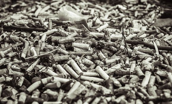 a lot of burnt cigarette butts, close up monochrome view