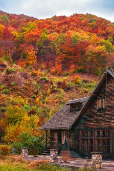abandoned cottage in autumn setting, Orlat commune, Sibiu county, Romania
