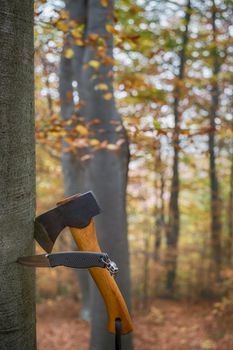 an axe and a knife stuck up in the tree stump in autumn forest