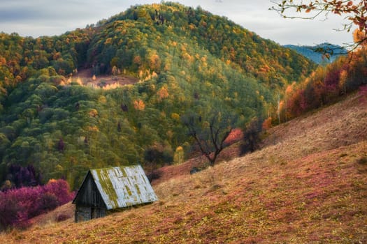 an old hut in autumn mountain landscape in infrared near Rasinari village area, Cindrel mountains, Burului hill, Sibiu county, Romania