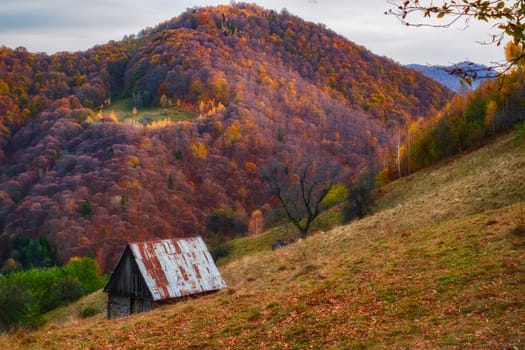 an old hut in autumn mountain landscape near Rasinari village area, Cindrel mountains, Burului hill, Sibiu county, Romania