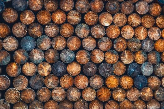 Abstract photo of a pile of natural wooden round logs background.