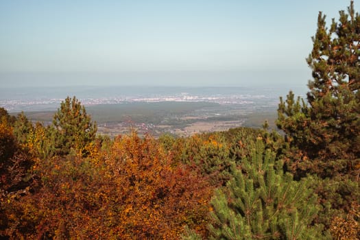 autumn landscape on sunny day, Cindrel mountains, Sibiu county, Romania