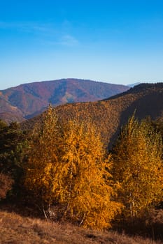 autumn landscape on sunny day, Cindrel mountains, Sibiu county, Romania