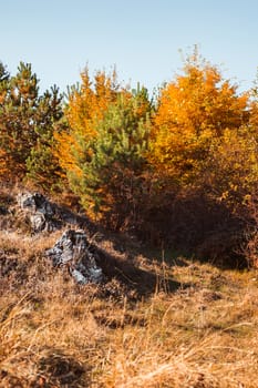 autumn landscape on sunny day, Cindrel mountains, Sibiu county, Romania