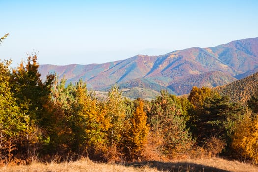 autumn landscape on sunny day, Cindrel mountains, Sibiu county, Romania