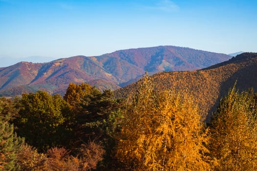 autumn landscape on sunny day, Cindrel mountains, Sibiu county, Romania