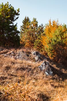 autumn landscape on sunny day, Cindrel mountains, Sibiu county, Romania