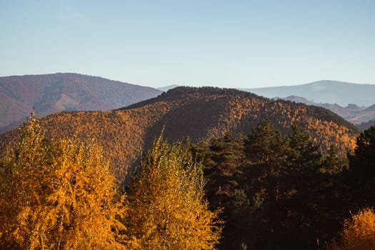 autumn landscape on sunny day, Cindrel mountains, Sibiu county, Romania
