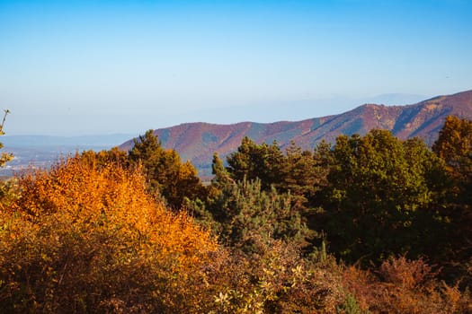 autumn landscape on sunny day, Cindrel mountains, Sibiu county, Romania