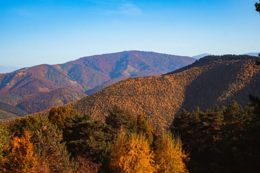 autumn landscape on sunny day, Cindrel mountains, Sibiu county, Romania