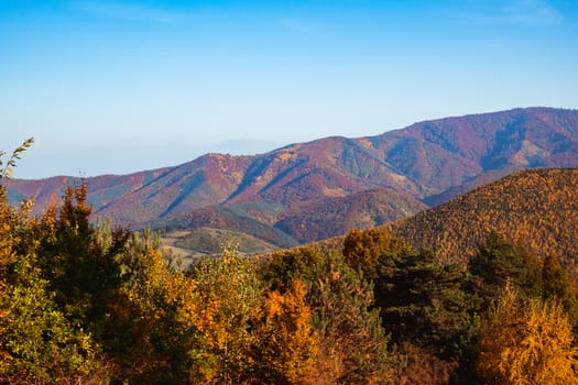 autumn landscape on sunny day, Cindrel mountains, Sibiu county, Romania