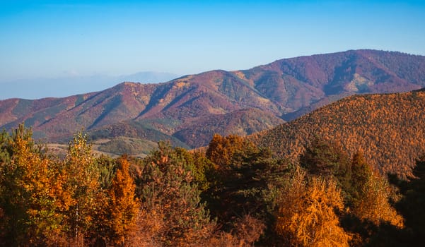 autumn landscape on sunny day, Cindrel mountains, Sibiu county, Romania