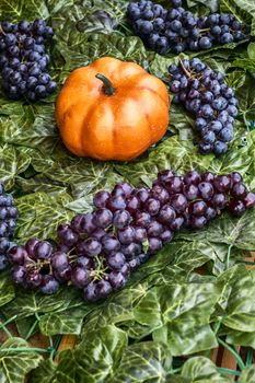 autumn scene with grapes and pumpkin
