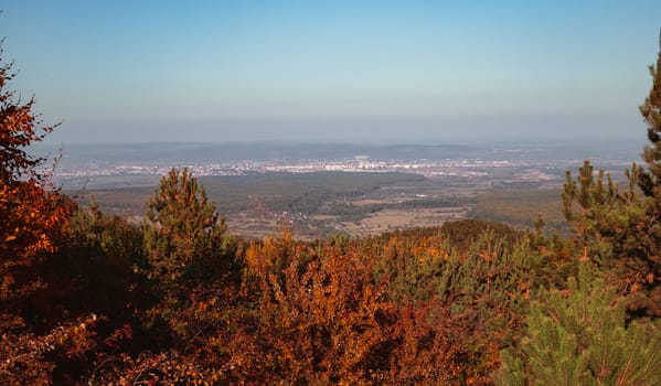 autumn landscape on sunny day, Cindrel mountains, Sibiu county, Romania