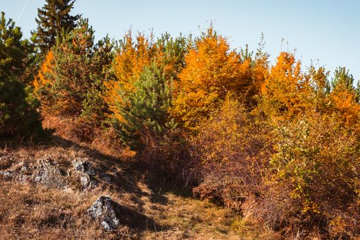 autumn landscape on sunny day, Cindrel mountains, Sibiu county, Romania
