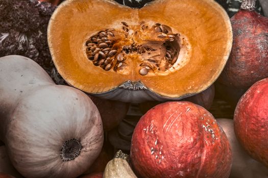 autumn ripe pumpkins at the market stall