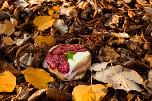 Autumn sandwich with salami in the forest