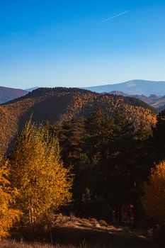autumn landscape on sunny day, Cindrel mountains, Sibiu county, Romania