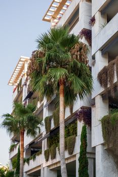 block full of greenery with palm trees in front in Marbella city, Spain