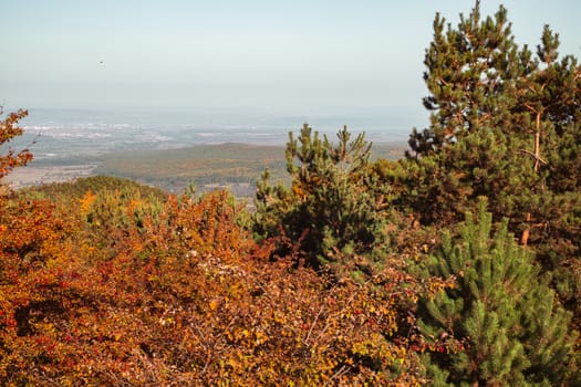 autumn landscape on sunny day, Cindrel mountains, Sibiu county, Romania