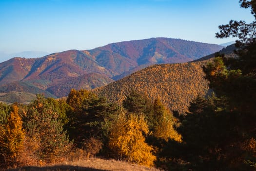 autumn landscape on sunny day, Cindrel mountains, Sibiu county, Romania