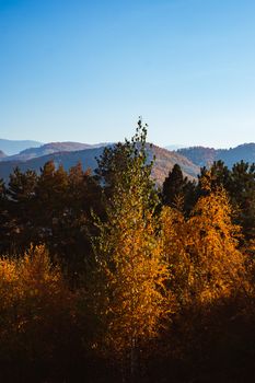 autumn landscape on sunny day, Cindrel mountains, Sibiu county, Romania