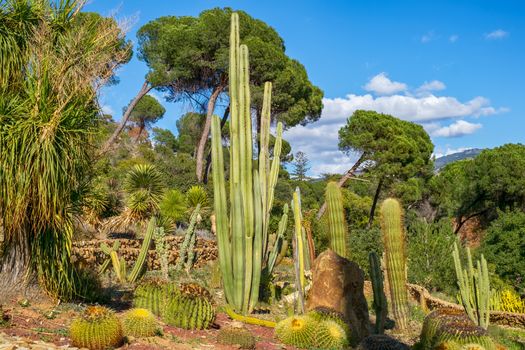Conception garden, jardin la concepcion in Malaga, Spain