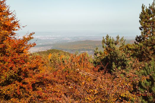 autumn landscape on sunny day, Cindrel mountains, Sibiu county, Romania