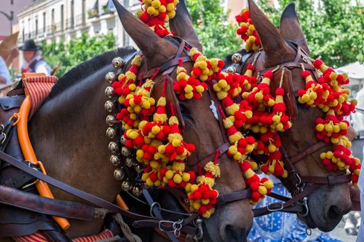 Brightly decorated horses, durring the annual Summer Fair held, Feria de Malaga,  in the city of Malaga Spain.