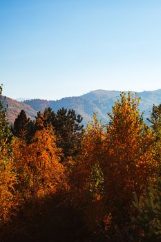 autumn landscape on sunny day, Cindrel mountains, Sibiu county, Romania